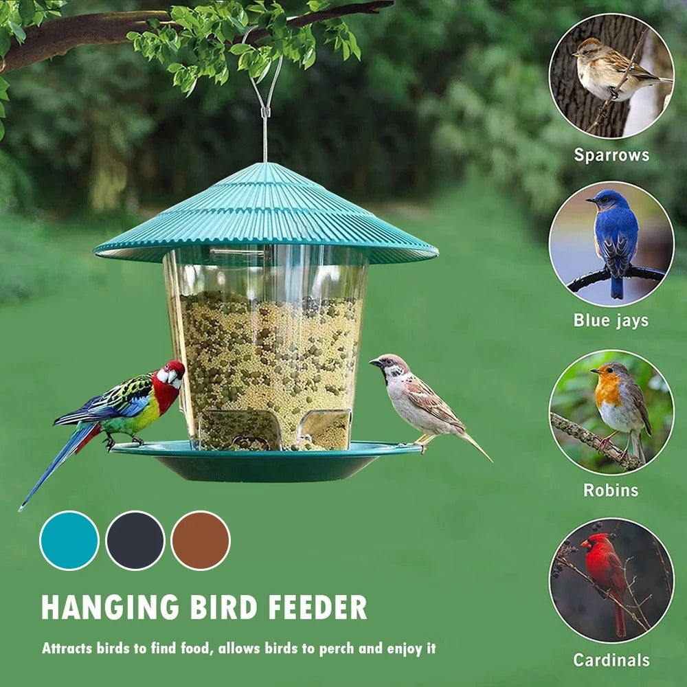Outdoor Bird Feeder