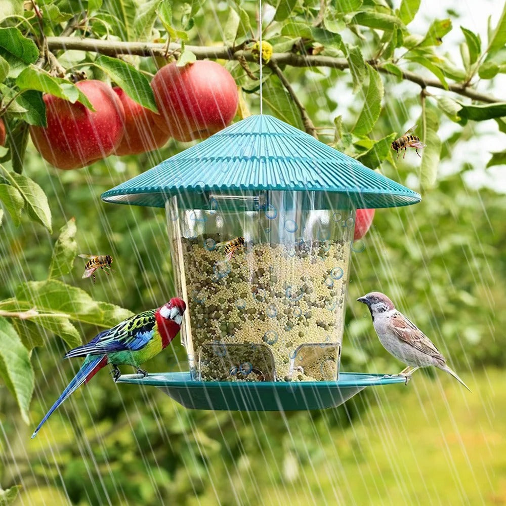 Outdoor Bird Feeder