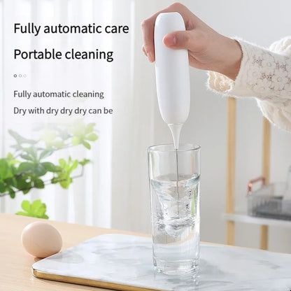 Electric Milk Frother